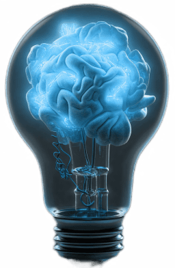 Bulb